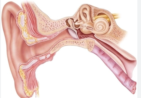 Kulak Ameliyatı (Timpanoplasti)